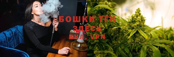 прущие грибы Балахна