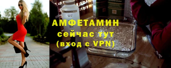 прущие грибы Балахна