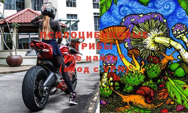 трава Баксан