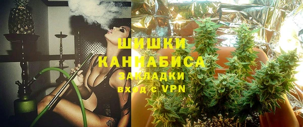 прущие грибы Балахна
