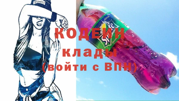 прущие грибы Балахна