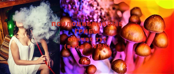 прущие грибы Балахна