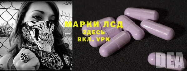 прущие грибы Балахна