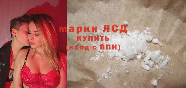 прущие грибы Балахна