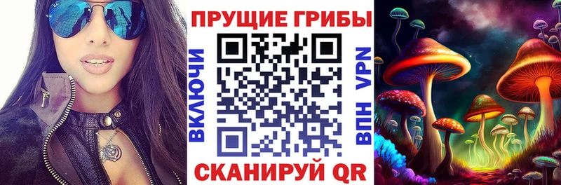 Галлюциногенные грибы Cubensis  дарнет шоп  блэк спрут онион  Воскресенск 